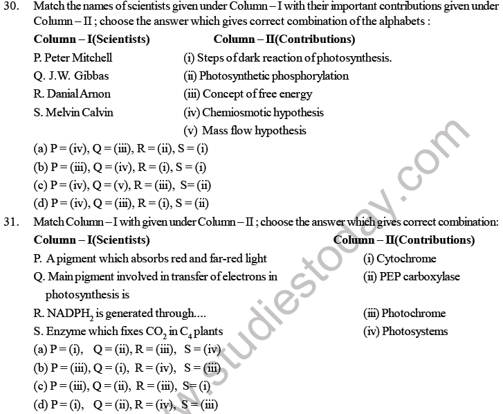 NEET Biology Photosynthesis MCQs Set B, Multiple Choice Questions